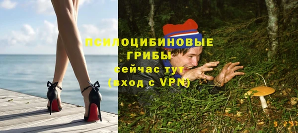 хмурый Балахна